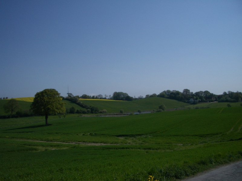 Bungsberg-CTF 519